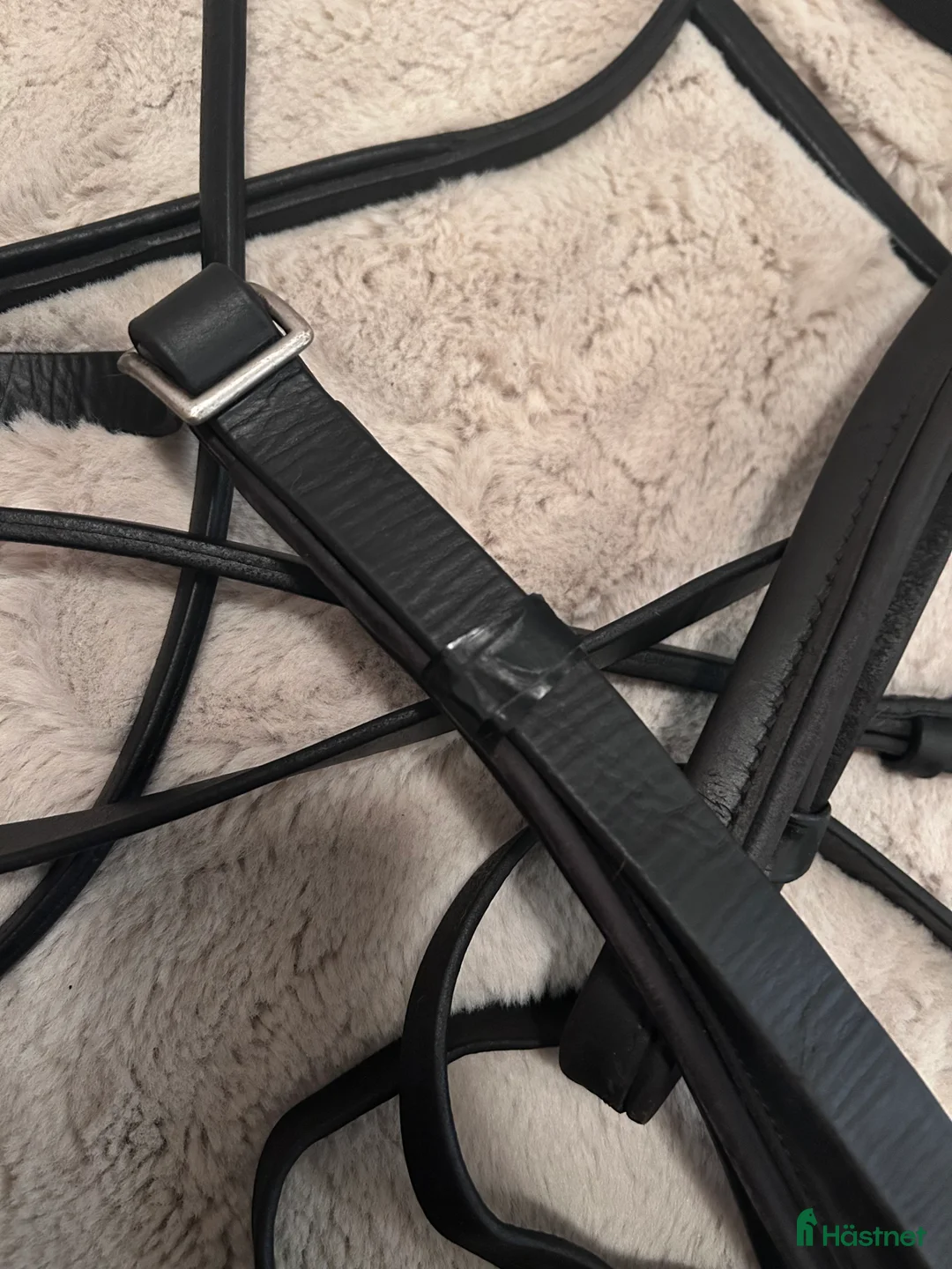 Övrig Travutrustning trav till salu: Travtömmar läder - Annons 2