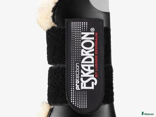 Benskydd hästutrustning till salu: Helt oanvända benskydd från Eskadron säljes i Hammarö - Annons 1