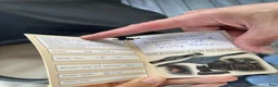 Sadlar hästutrustning till salu: Fin sadel helt ny - Annons 3