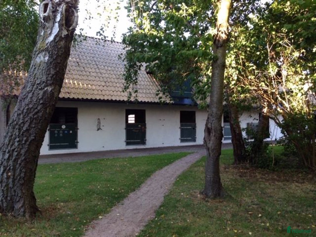  stallplats finnes: Boxplats på Vellinge Väster uthyres i Vellinge - Annons 3