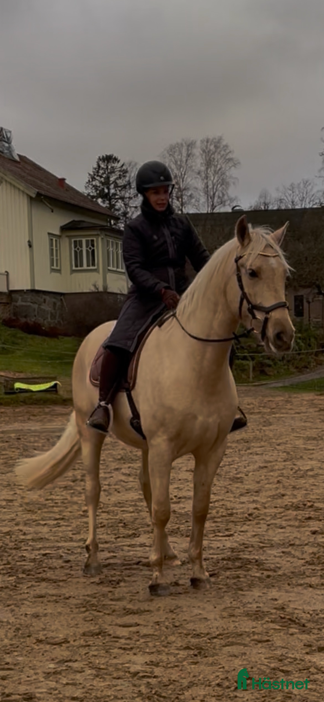 Övrigt hästar till salu: Vacker lyxig PRE med fantastisk potential i Onsala - Annons 8