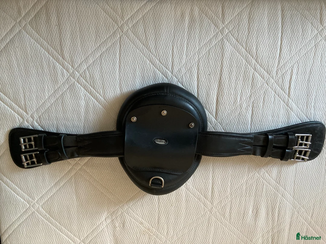 Sadeltillbehör hästutrustning till salu: Prestige RP dressyrgjord - Annons 1