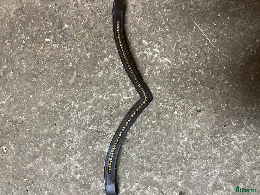 Träns hästutrustning till salu: Brunt miclemträns i Landsbro - Annons 4