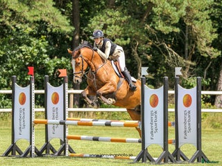 hästar Charmig 4 åring med topp blod! i Vessigebro - Annons 17