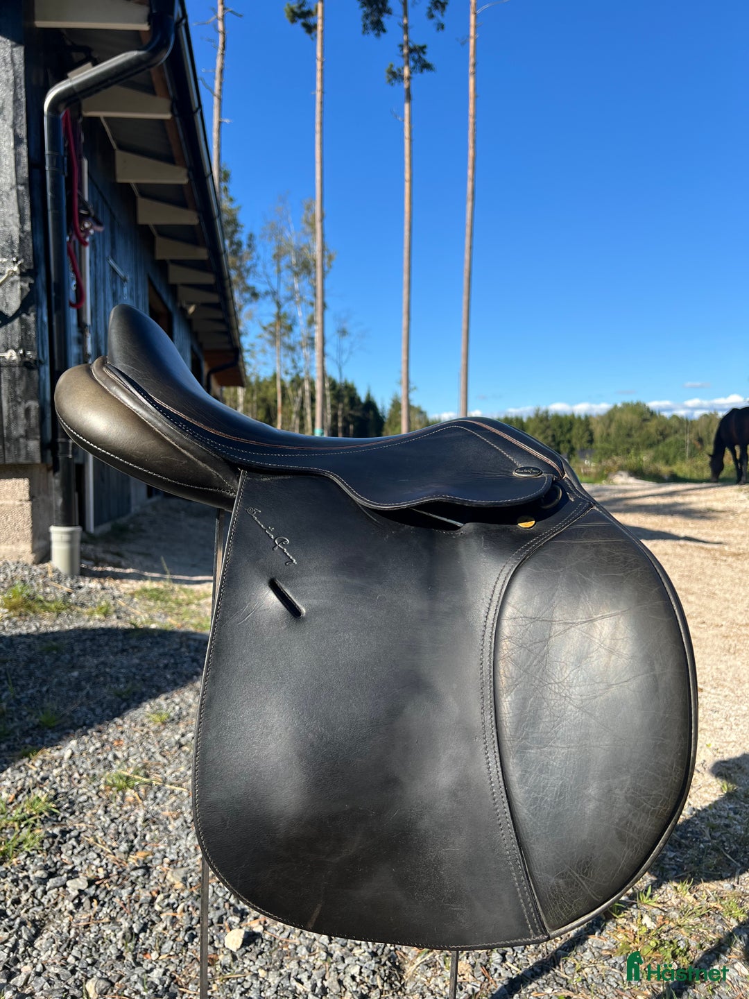 Sadlar hästutrustning till salu: Santa Cruz 17” i Borås - Annons 2