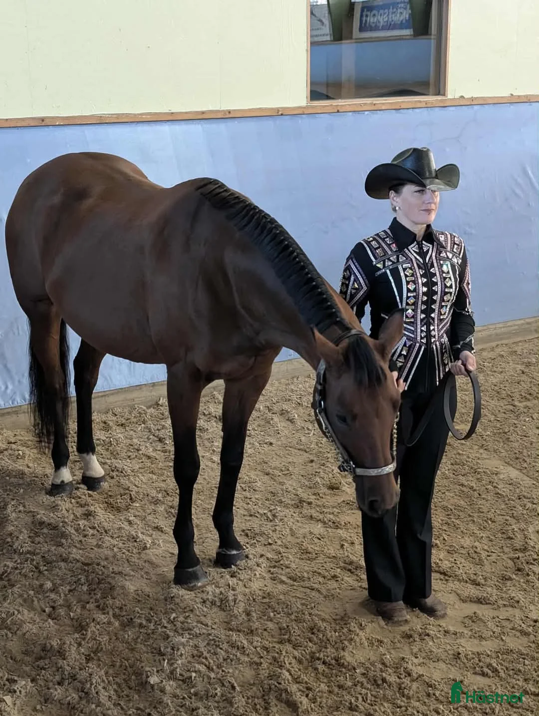 Western hästar till salu: Vackert socialt quarter sto i Värsås - Annons 7