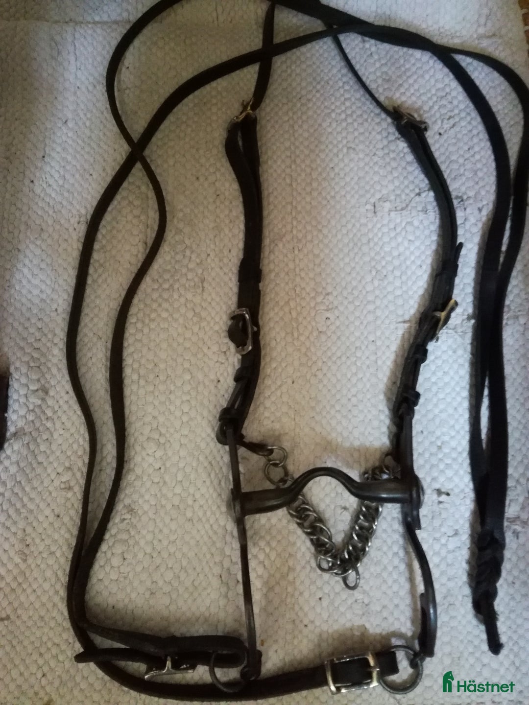 Träns hästutrustning till salu: Akademisk komplett träns  i Västra Frölunda - Annons 1