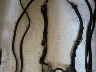 Träns hästutrustning till salu: Akademisk komplett träns i Västra Frölunda - Annons 11