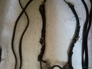 Träns hästutrustning Akademisk komplett träns i Västra Frölunda - Annons 6