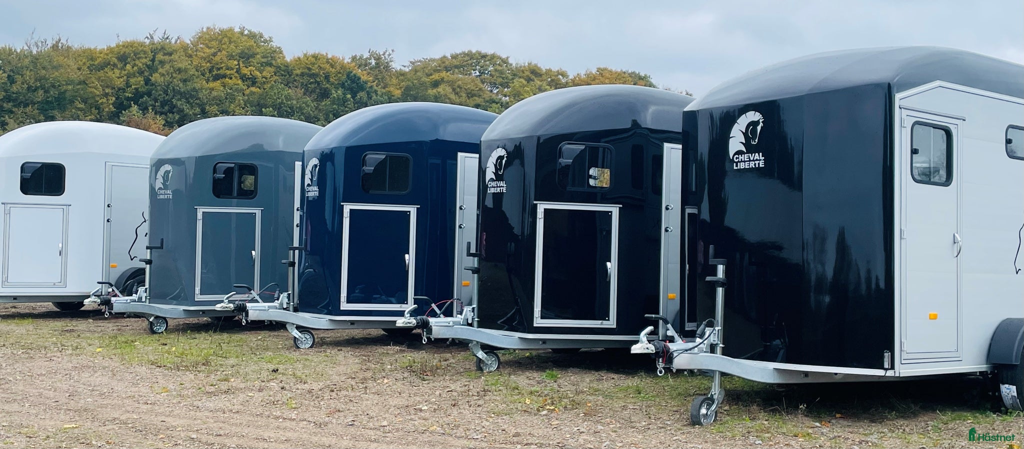 Hästtransporter  fordon & transport till salu: Erbjudande GOLD 3! - Annons 3