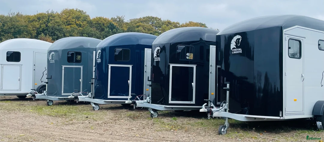 Hästtransporter  fordon & transport till salu: Erbjudande GOLD 3! - Annons 1