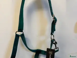 Övrig Hästutrustning hästutrustning Fairfield grimma - Annons 11