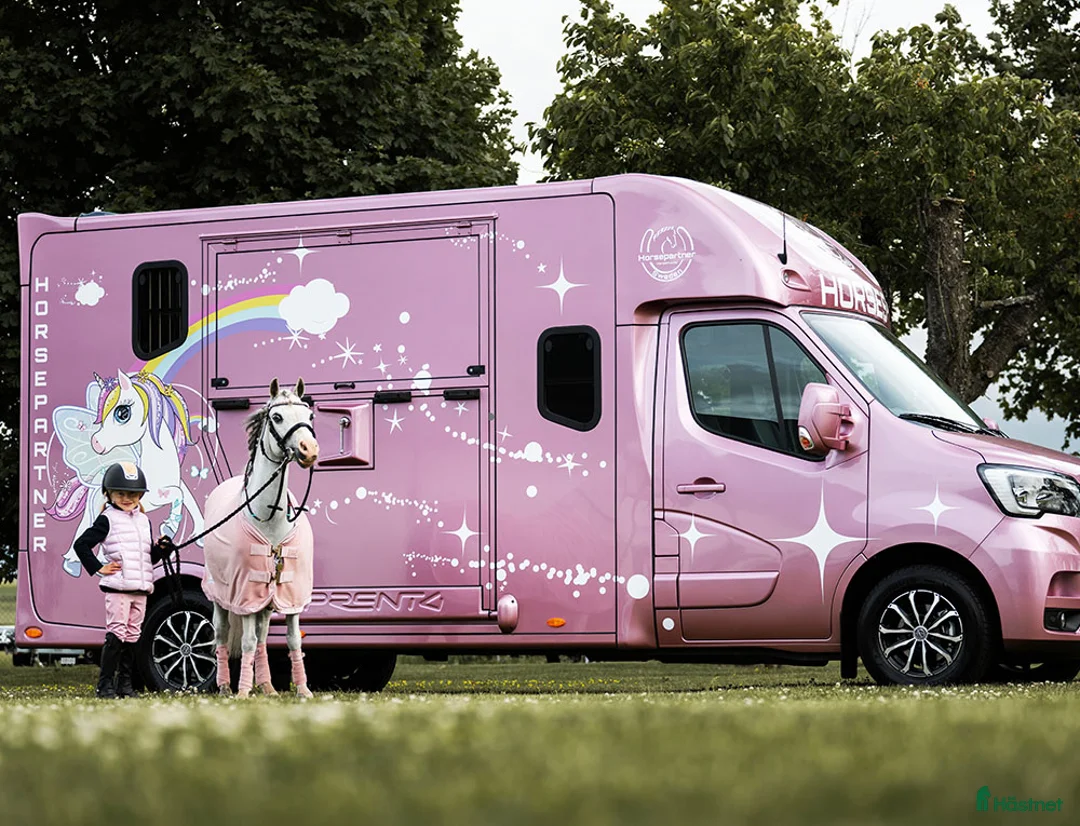 Hästlastbilar  fordon & transport till salu: Söker hästbuss - Annons 1