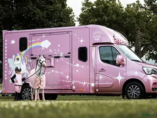 Hästlastbilar fordon & transport till salu: Söker hästbuss - Annons 1