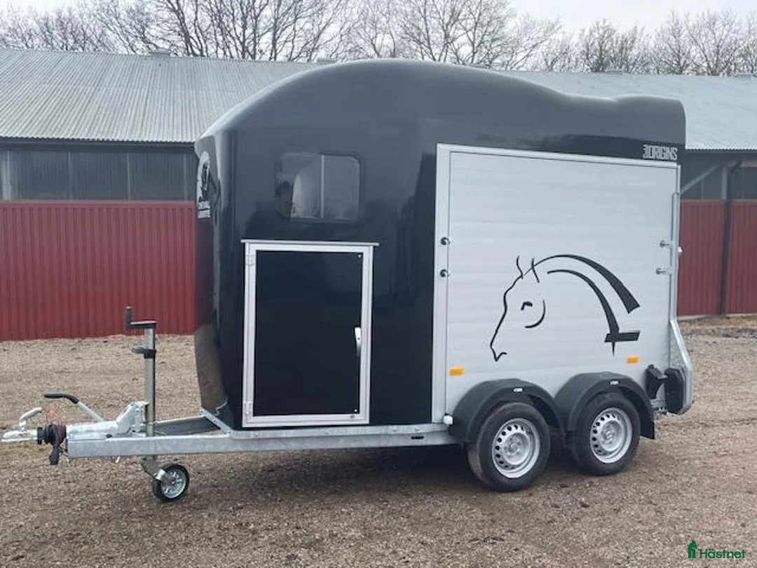 Hästtransporter  fordon & transport till salu: Gold One med sadelkammare - Annons 6