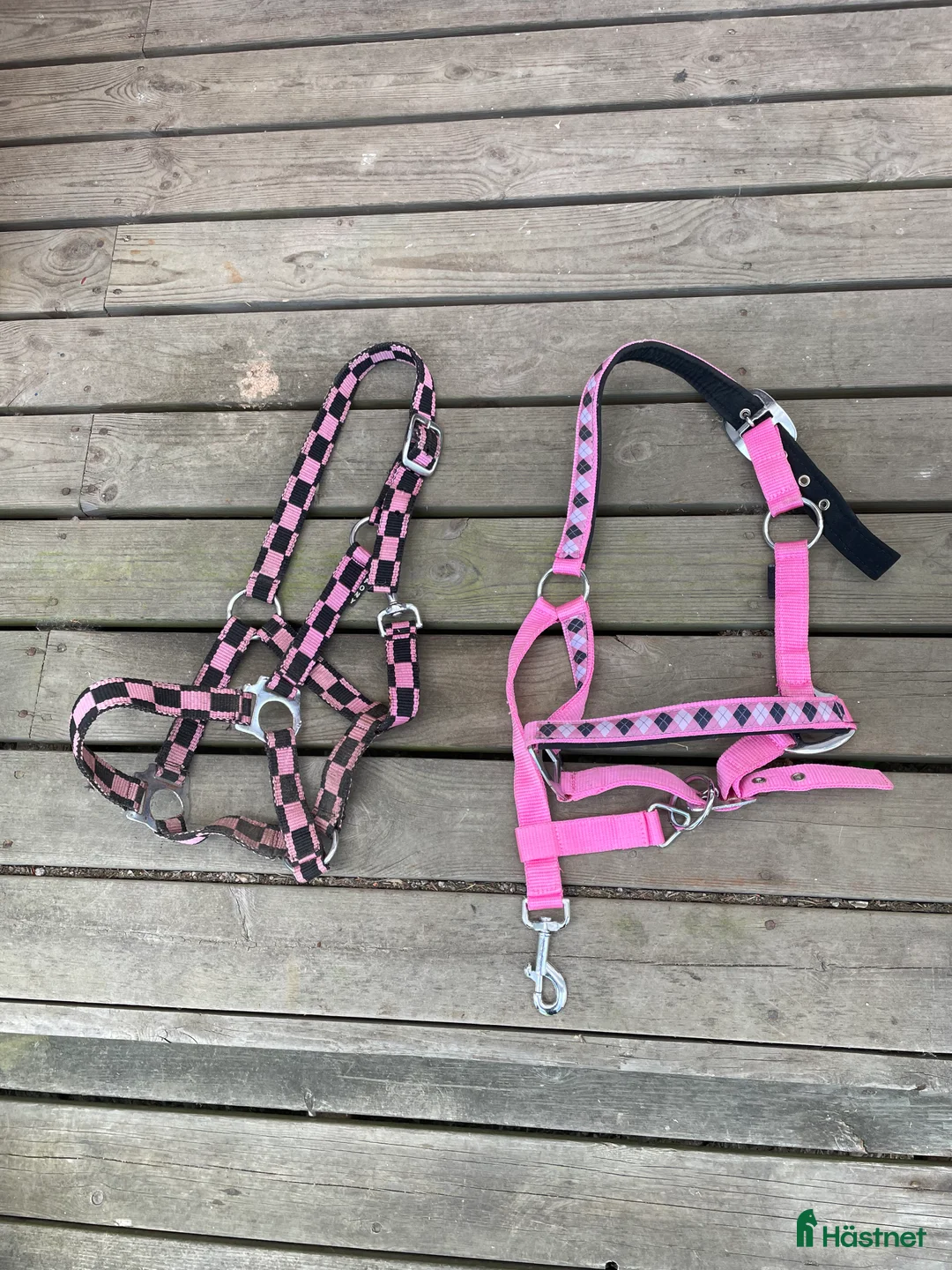 Övrig Hästutrustning hästutrustning till salu: Häst utrustning  i Bredaryd - Annons 5