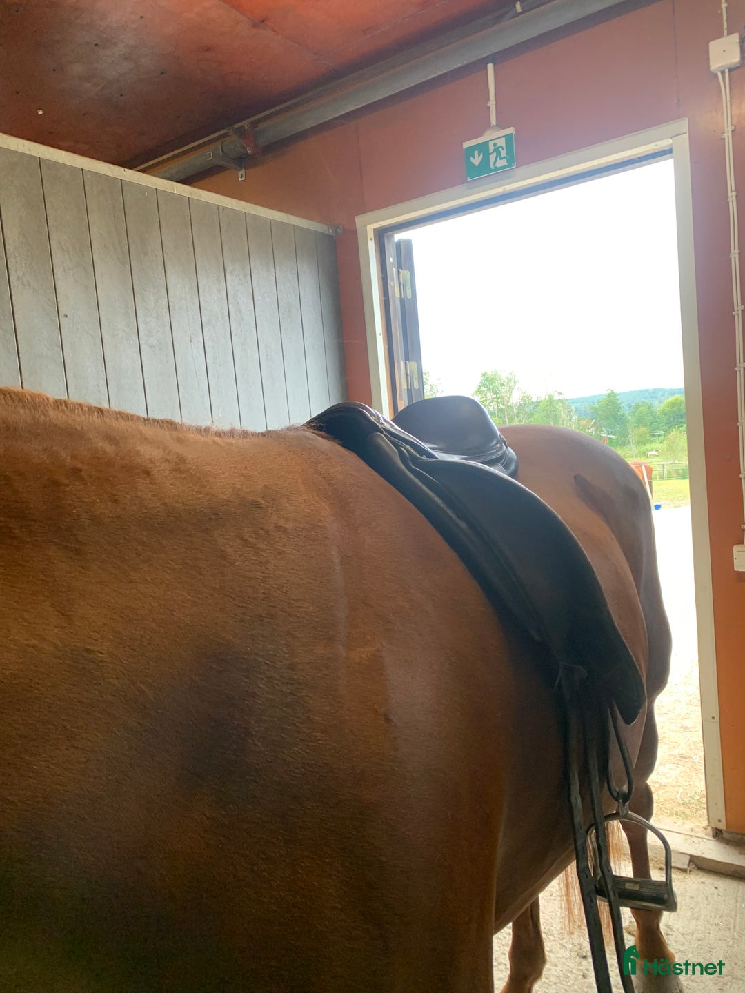 Sadlar hästutrustning till salu: Hrimnir pro 17,5” i Fagersta - Annons 7