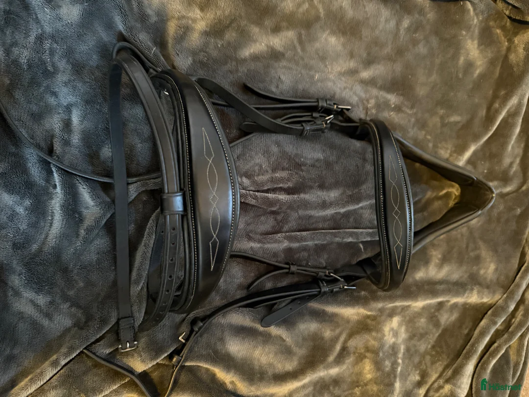 Träns hästutrustning till salu: Superfint Alequi träns - Annons 3