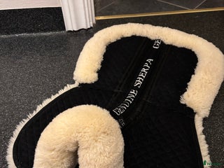 Schabrak & Vojlockar hästutrustning till salu: Fårskinnspad i Röbäck - Annons 4