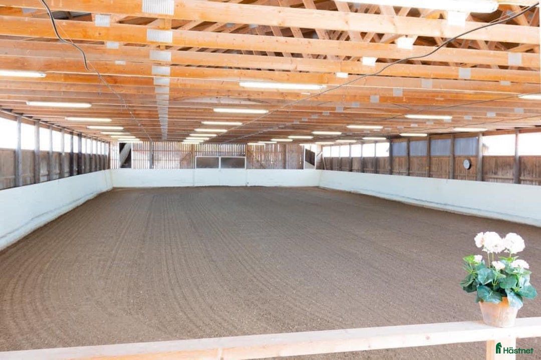  stallplats finnes: Fullservice alla dagar året om i Märsta - Annons 11