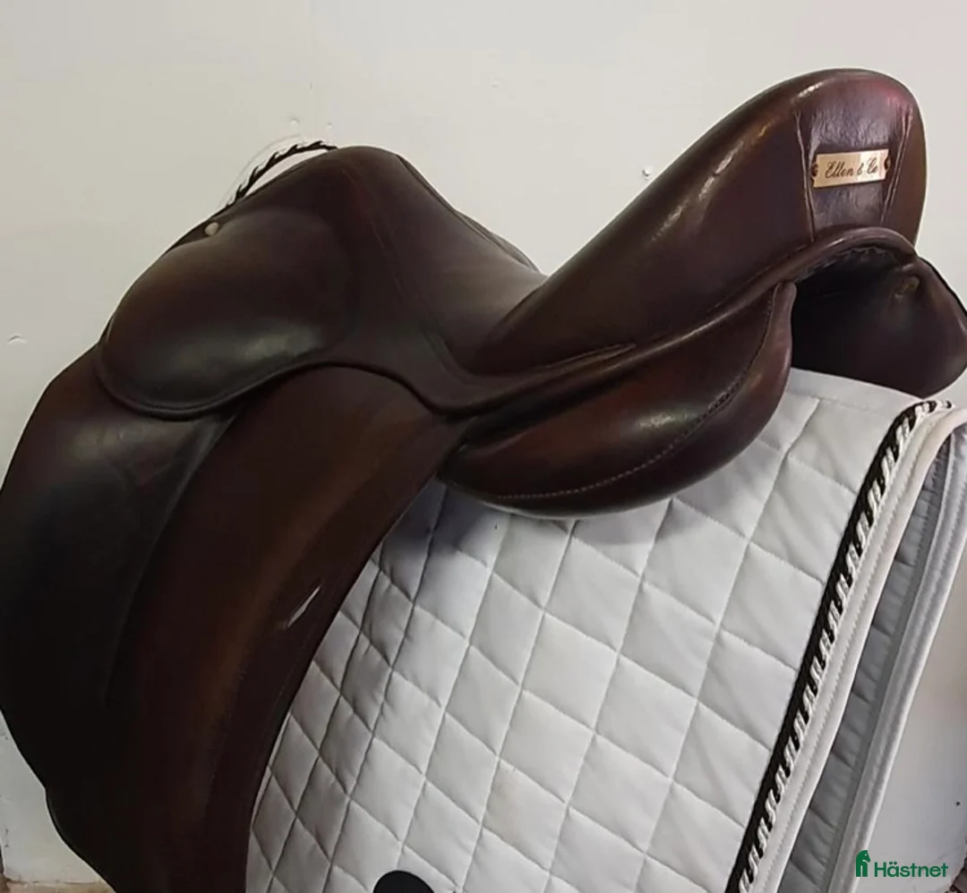 Sadlar hästutrustning till salu: Childeric Dac i Vessigebro - Annons 1