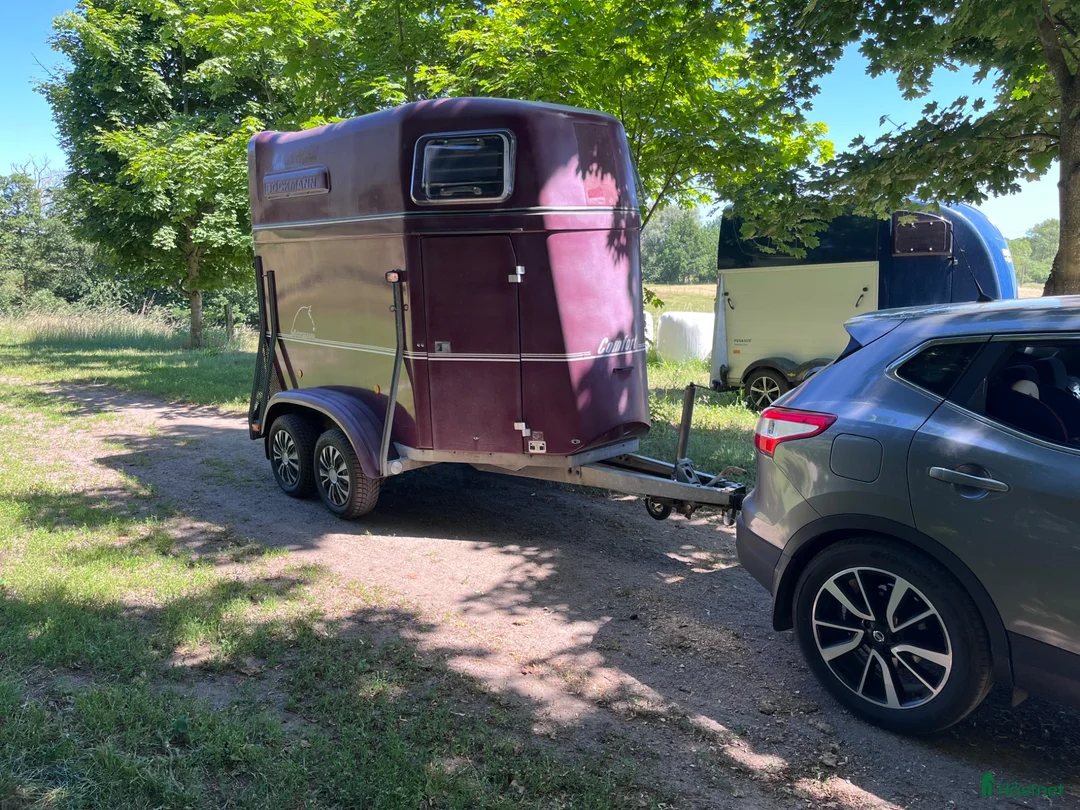 Hästtransporter  fordon & transport till salu: Böckman P15 Comfort  i Dösjebro - Annons 1