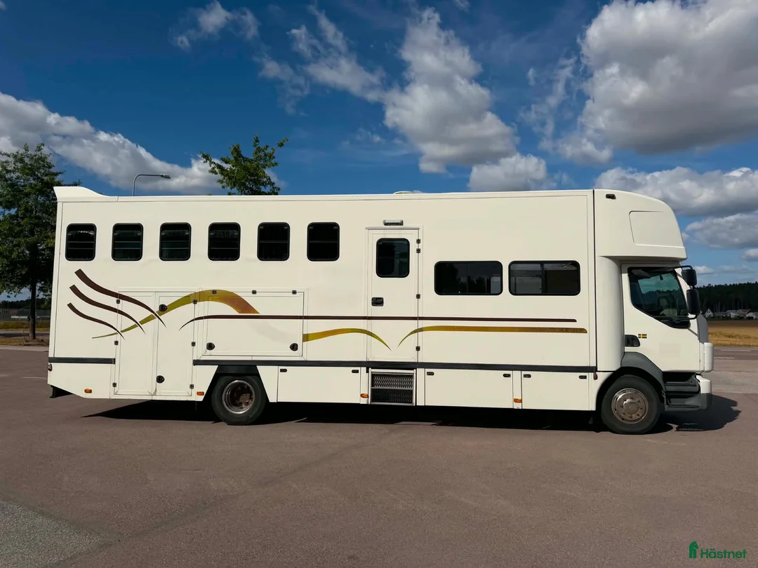 Hästlastbilar  fordon & transport till salu: C-KORT THEAULT 6 HÄSTARS MED BODEL  - Annons 2
