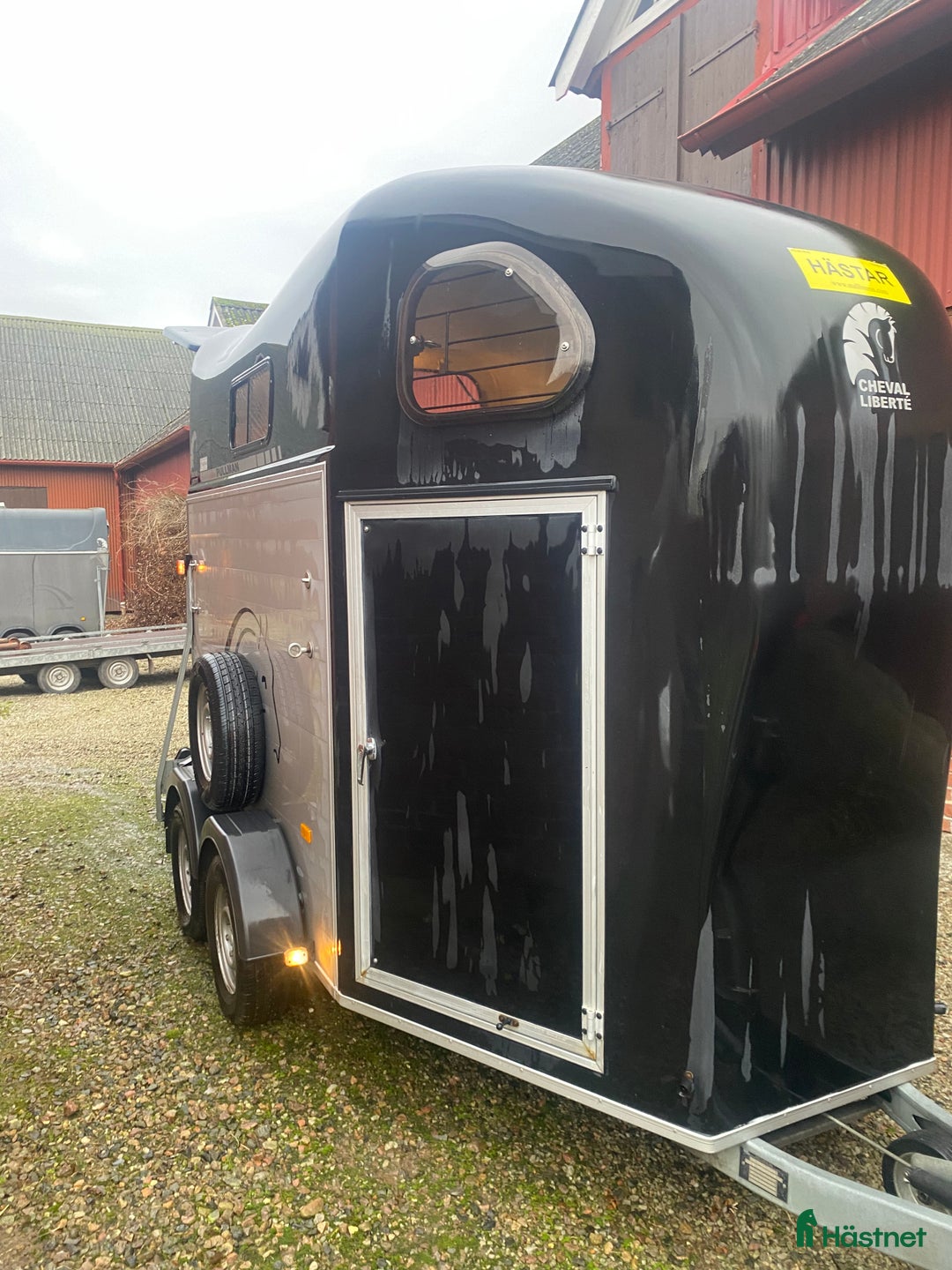 Hästtransporter  fordon & transport till salu: Fin Cheval 2018 i Eslöv - Annons 6