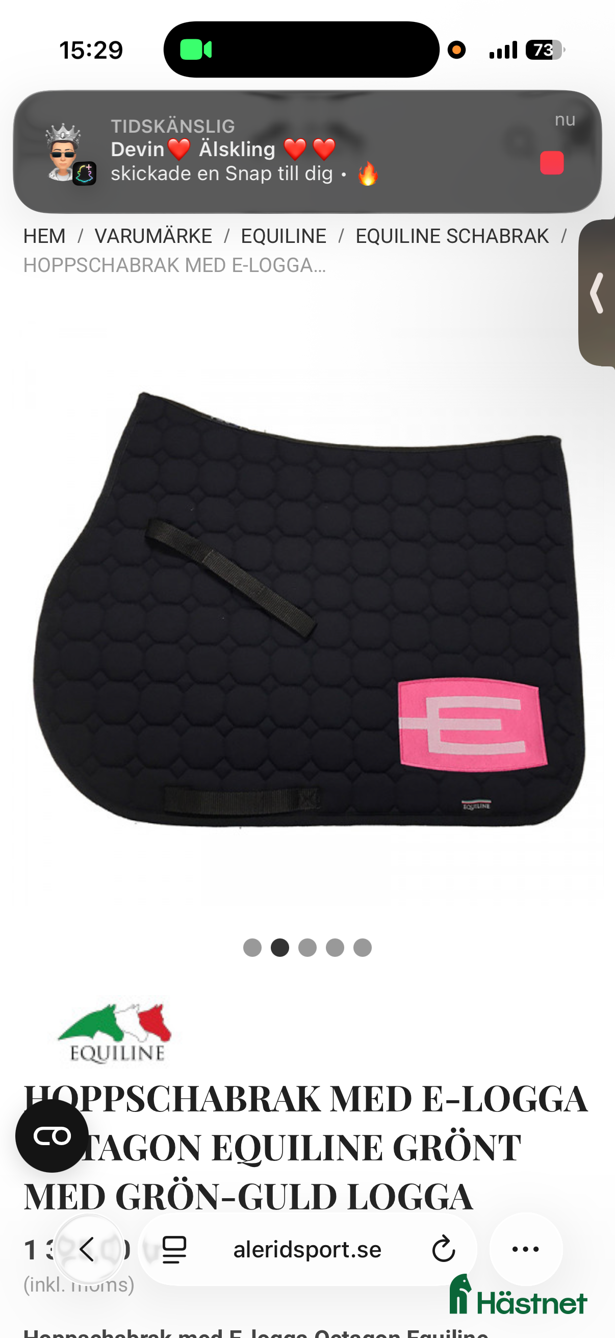 Schabrak & Vojlockar hästutrustning till salu: Sökes! i Mörkö - Annons 20