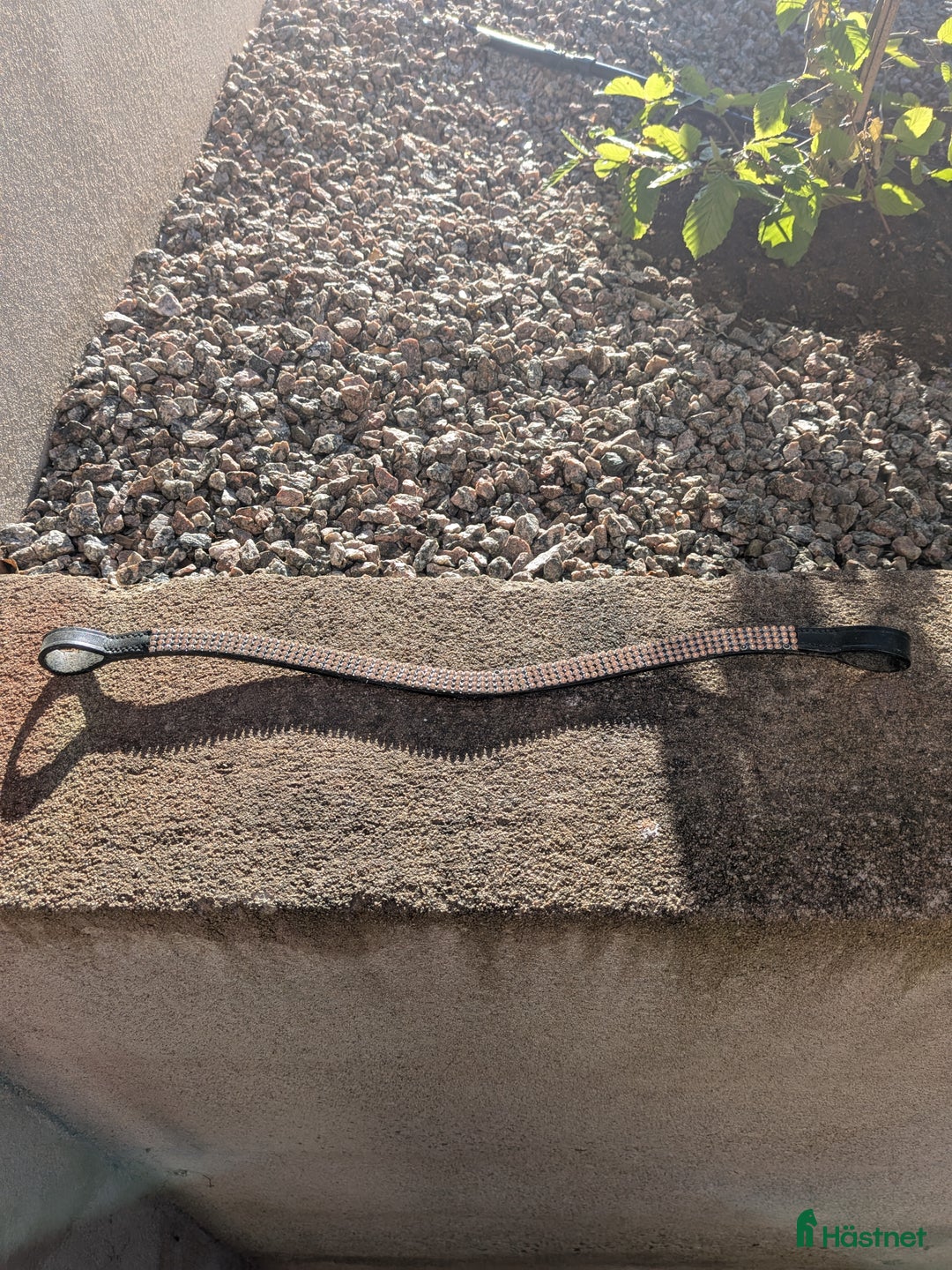 Övrig Hästutrustning hästutrustning till salu: Schabak, padd, grima och pannband till salu  - Annons 5