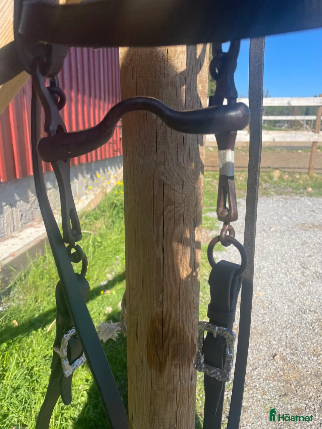 Träns hästutrustning till salu: Akademiskt träns  i Nykvarn - Annons 10