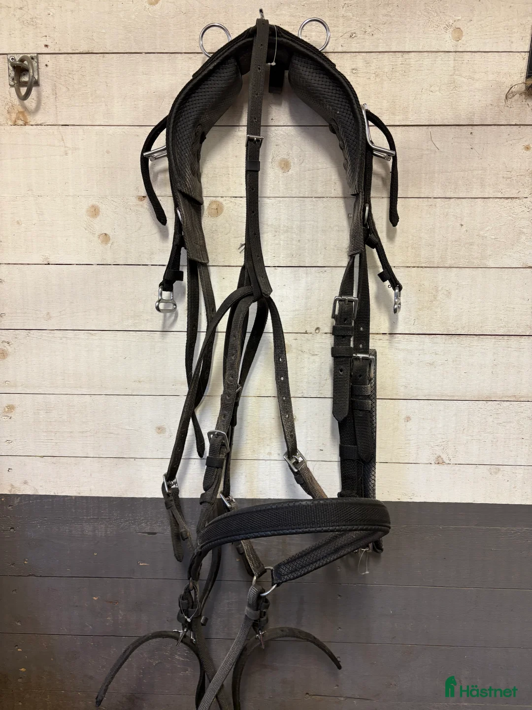 Körselar körning till salu: Bröstsele med draglinor & nytt huvudlag i Söderhamn - Annons 2