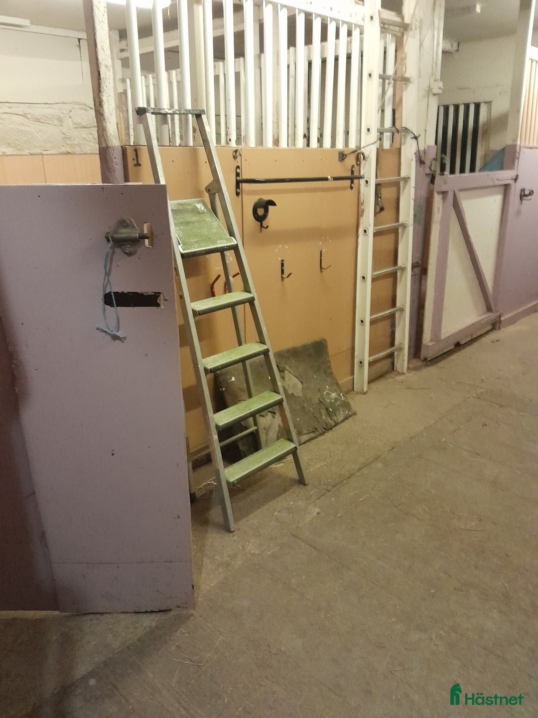  stallplats finnes: Lediga boxar i Torslanda - Annons 2