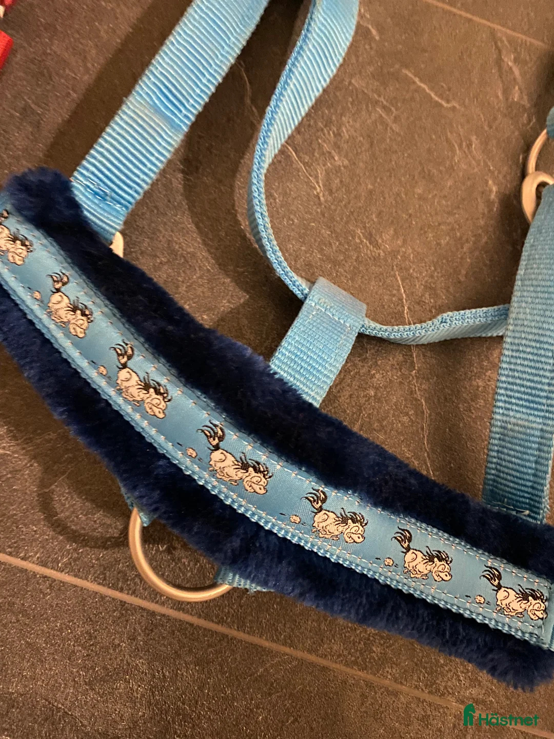 Övrig Hästutrustning hästutrustning till salu: Nya grimmor och grimskaft Hööks - Annons 2