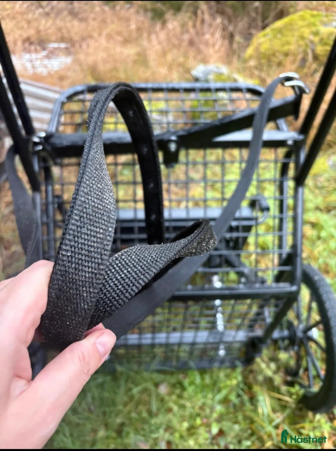 Körselar körning till salu: Bröstsele med draglinor & nytt huvudlag i Söderhamn - Annons 7