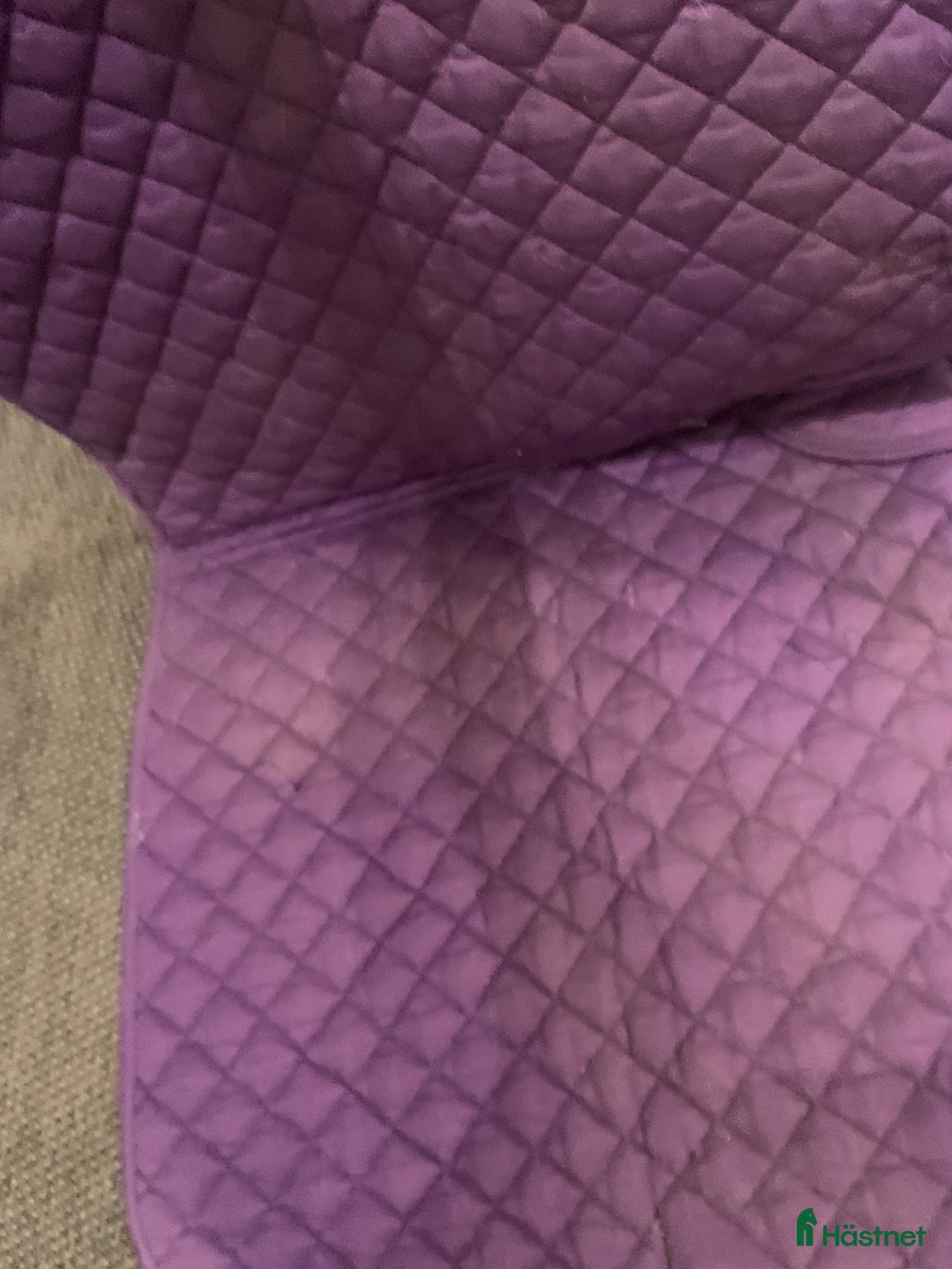 Schabrak & Vojlockar hästutrustning till salu: Schabrak och grimmor  - Annons 5