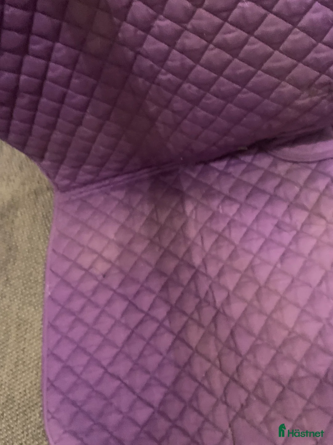 Schabrak & Vojlockar hästutrustning till salu: Schabrak och grimmor  - Annons 2