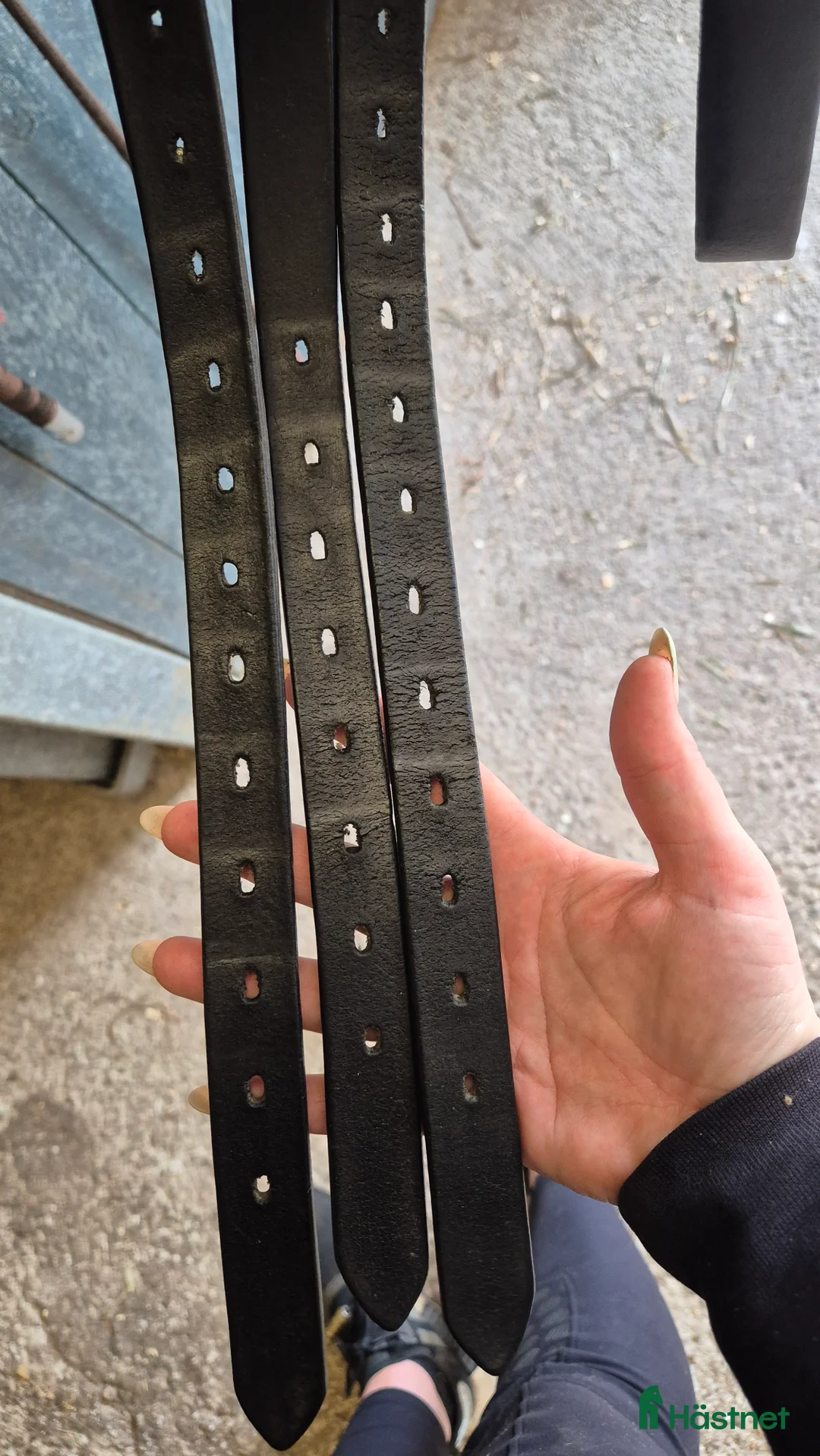 Sadlar hästutrustning till salu: Väl omhändertagen Stubben Tristan i Kungsör - Annons 7