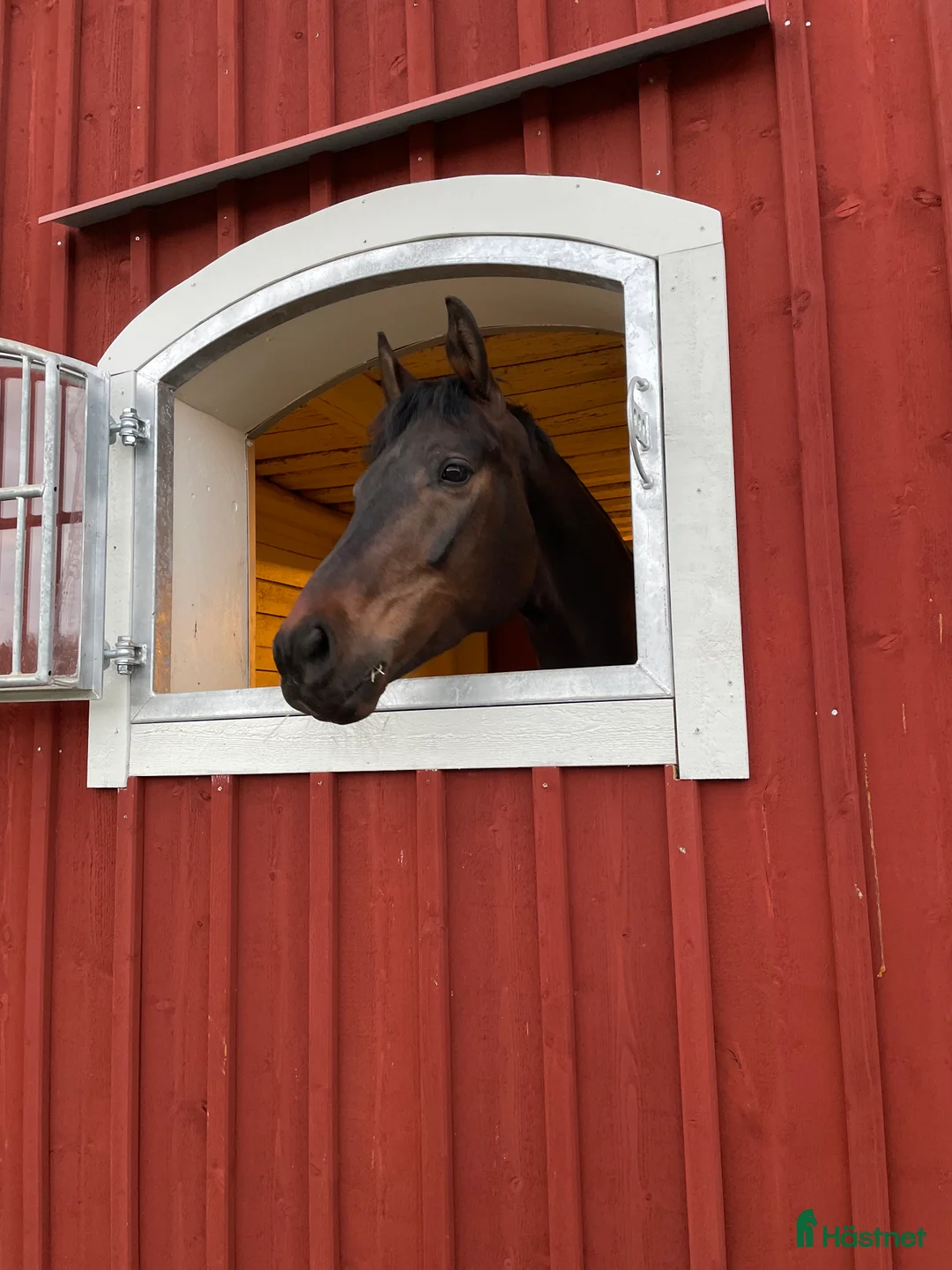  stallplats finnes: Ledig stallplats, Norrköping  - Annons 1