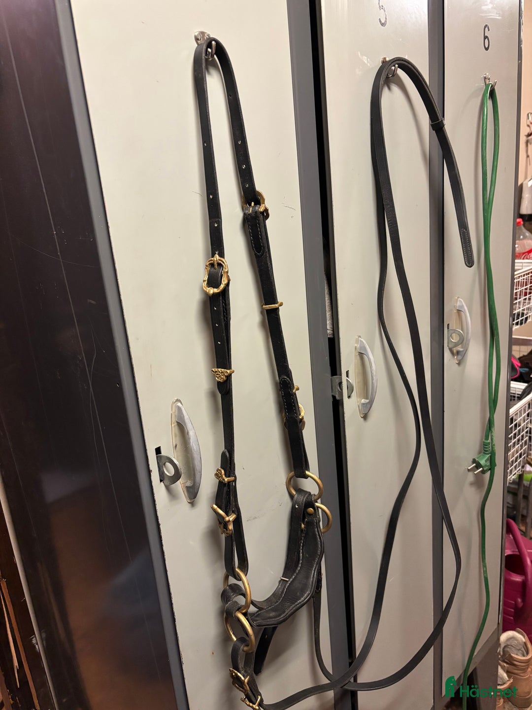 Träns hästutrustning till salu: Akademiskt träns med tyglar & sidepull FULL i Storuman - Annons 2