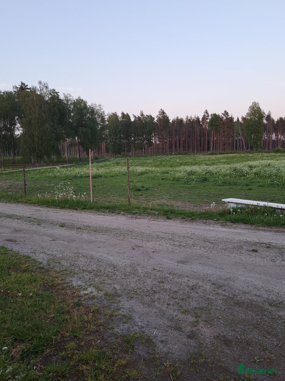  stallplats finnes: Intressekoll stalluthyrning i Flen - Bild 4