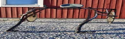 Travsulkys trav till salu: Sulky och säkerhetsvagn i Luleå - Annons 2