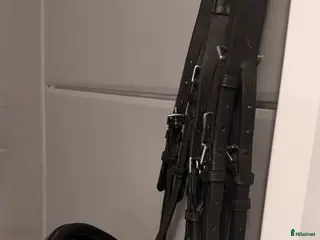 Träns hästutrustning KANDAR X FULL rundsytt - Annons 21