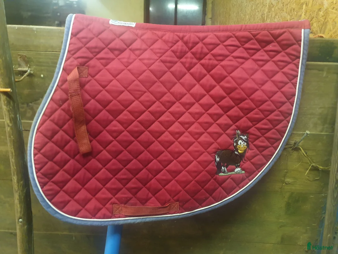 Övrig Hästutrustning hästutrustning till salu: Hästsaker i Skeppshult - Annons 18