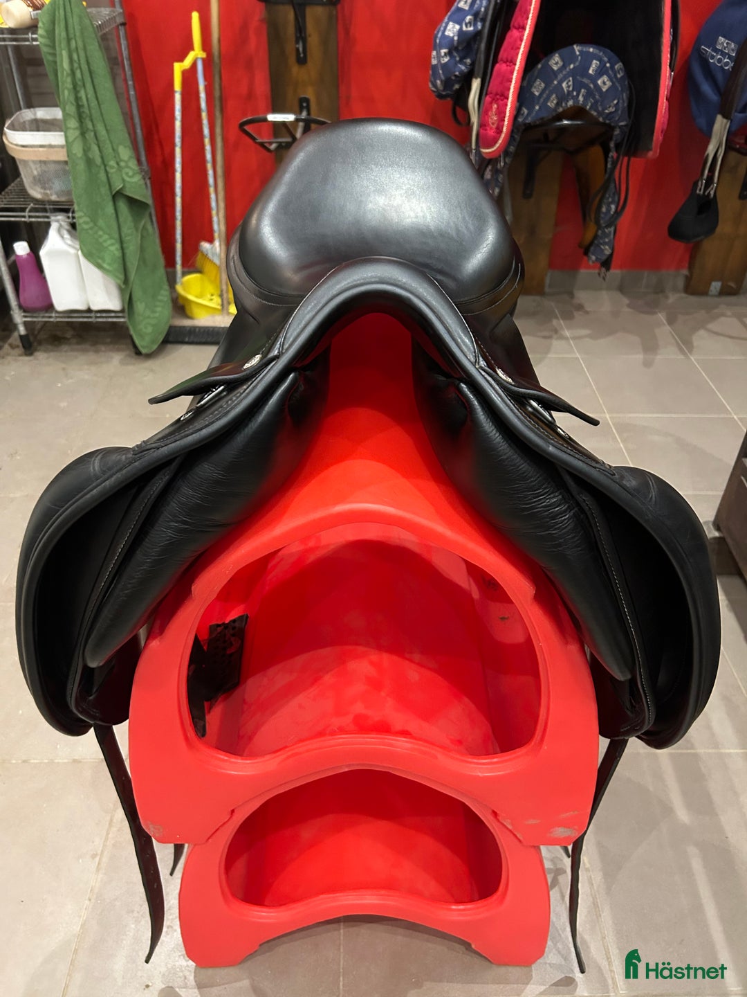 Sadlar hästutrustning till salu: Amerigo DJ  i Vänersborg - Annons 8