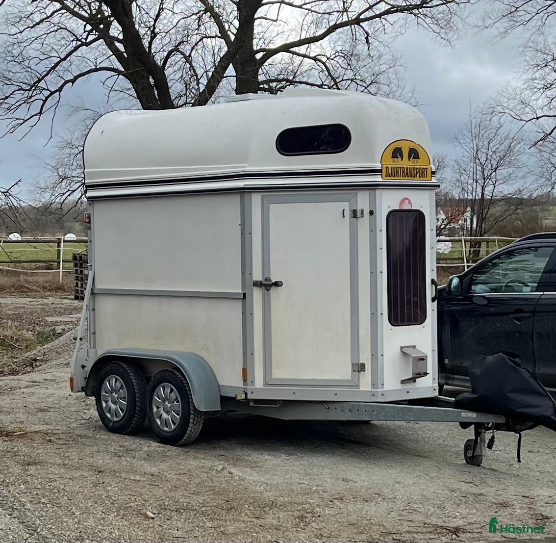Hästtransporter  fordon & transport till salu: Boj Bravo 216 årsmodell 2008 - Annons 16