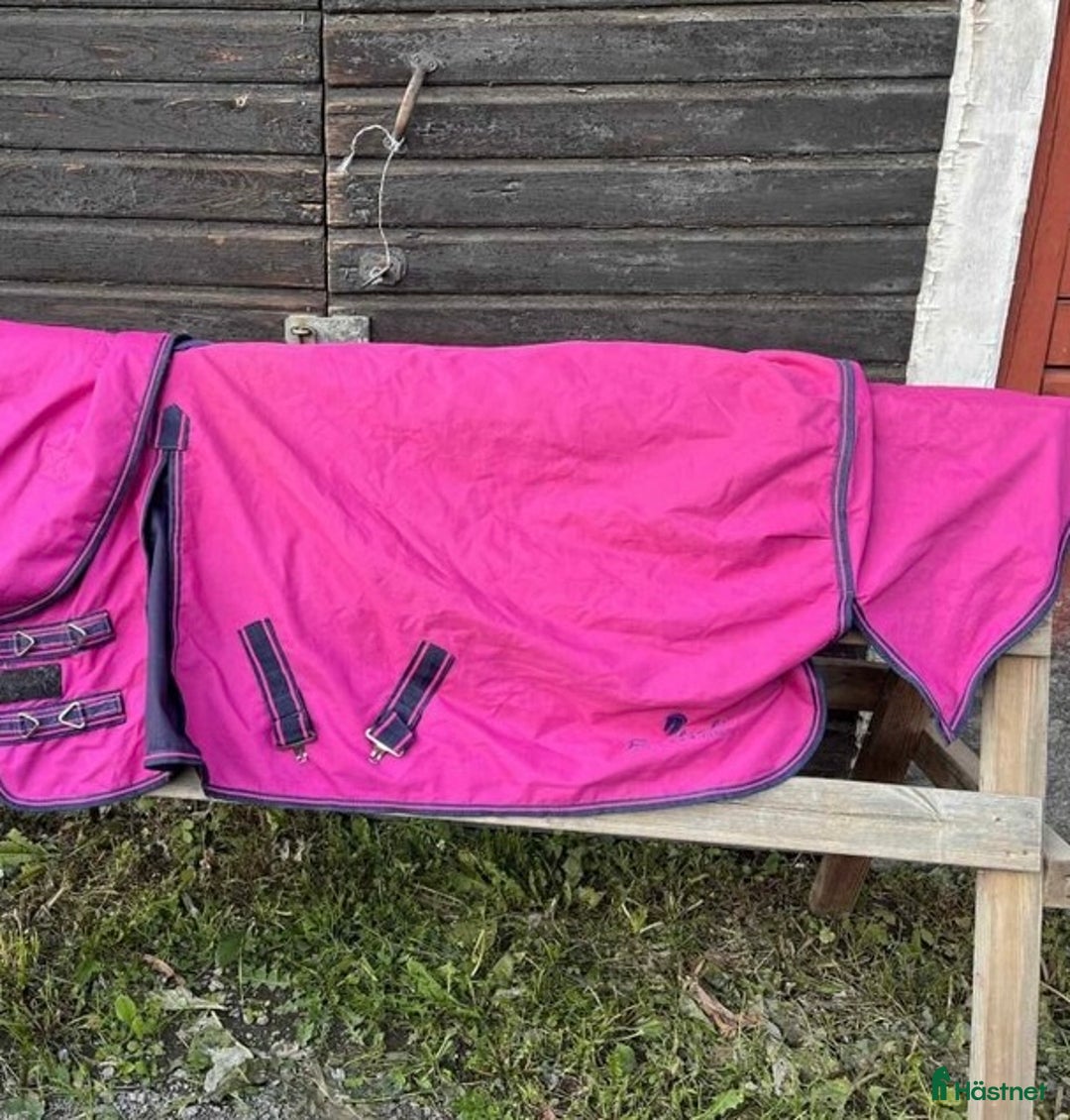 Täcken hästutrustning till salu: SÖKER HALSAR OCH TÄCKEN!! i Ödsmål - Annons 3