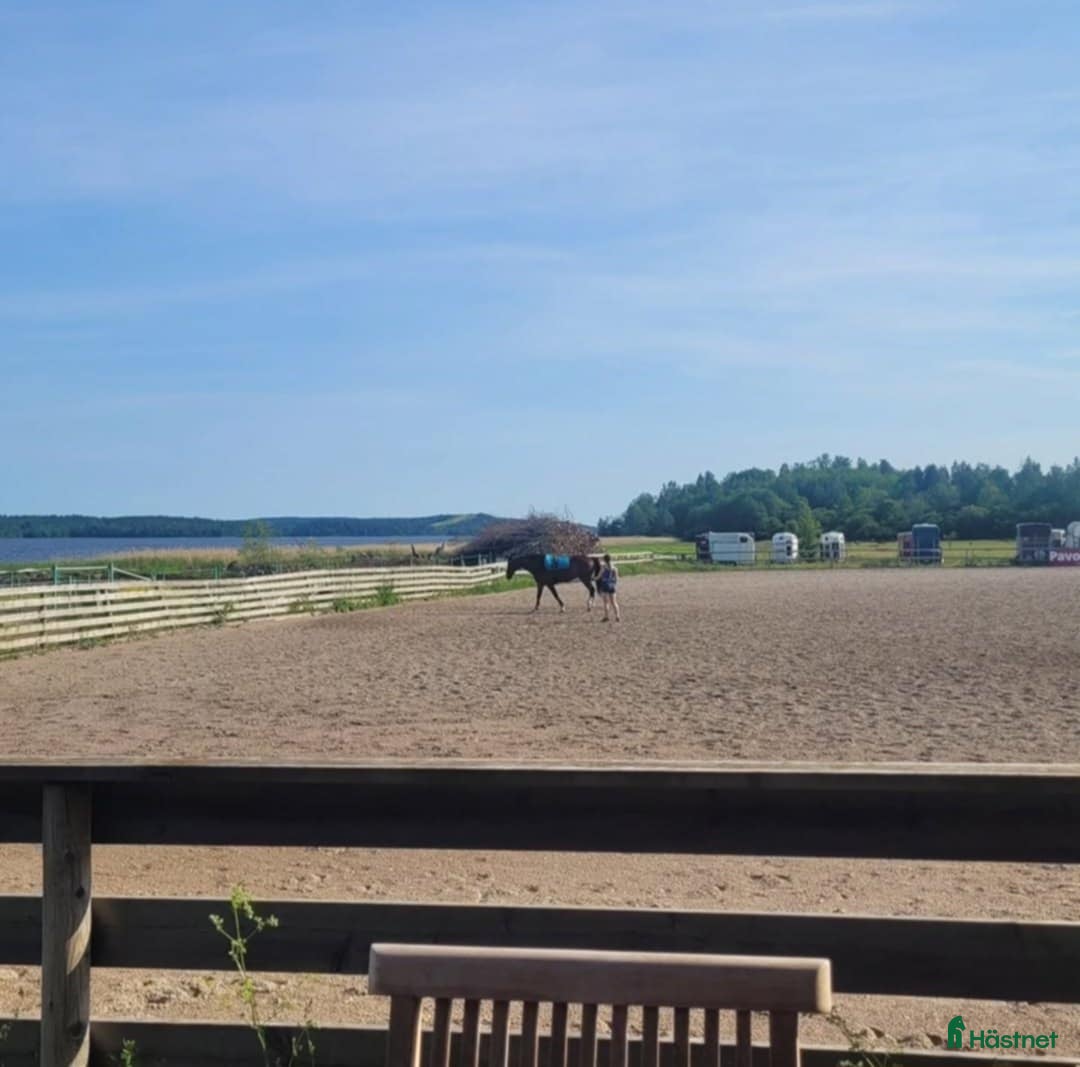  stallplats finnes: En box kvar på Almare Stäket! i Kungsängen - Annons 2