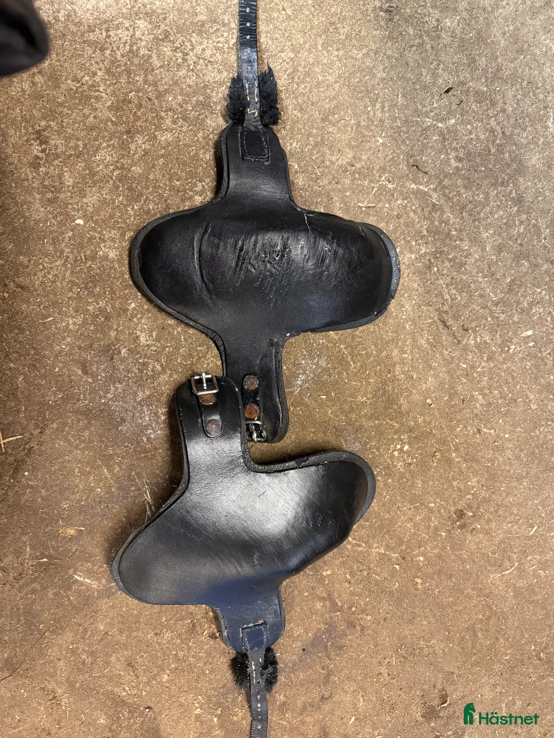 Travselar trav till salu: Travutrustning i Rånäs - Annons 6