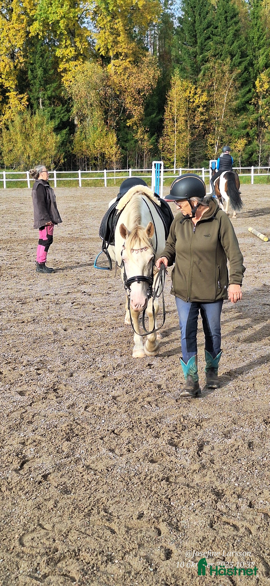 Working Equitation hästar till salu: En riktigt trevlig ponny  i Färgelanda - Annons 9